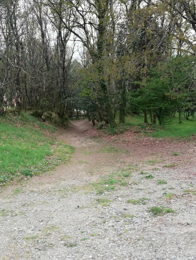 Apartamento Sigueeiro Camino Ingles Sigueiro Kültér fotó