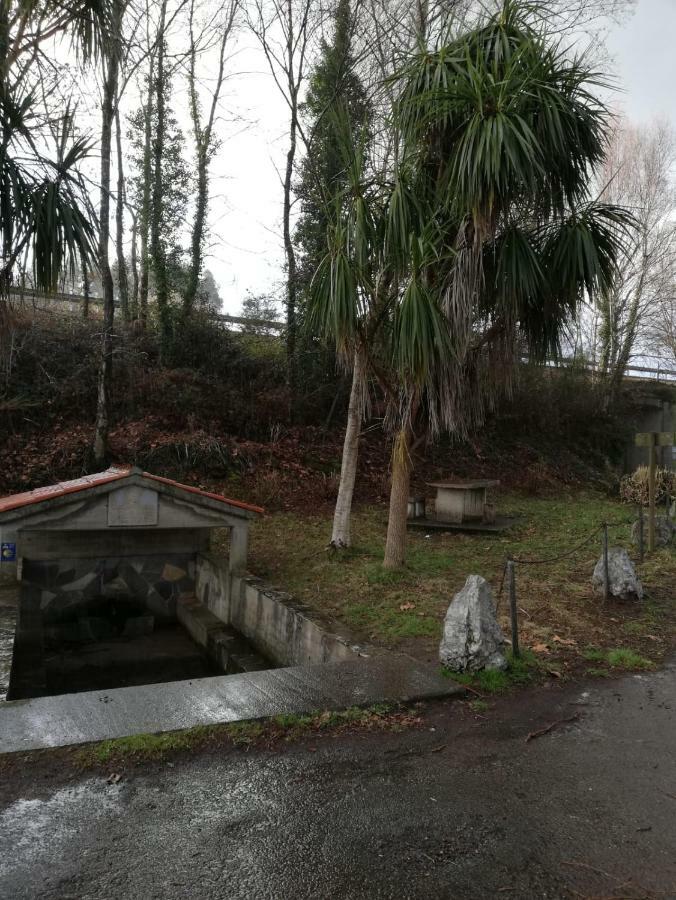 Apartamento Sigueeiro Camino Ingles Sigueiro Kültér fotó